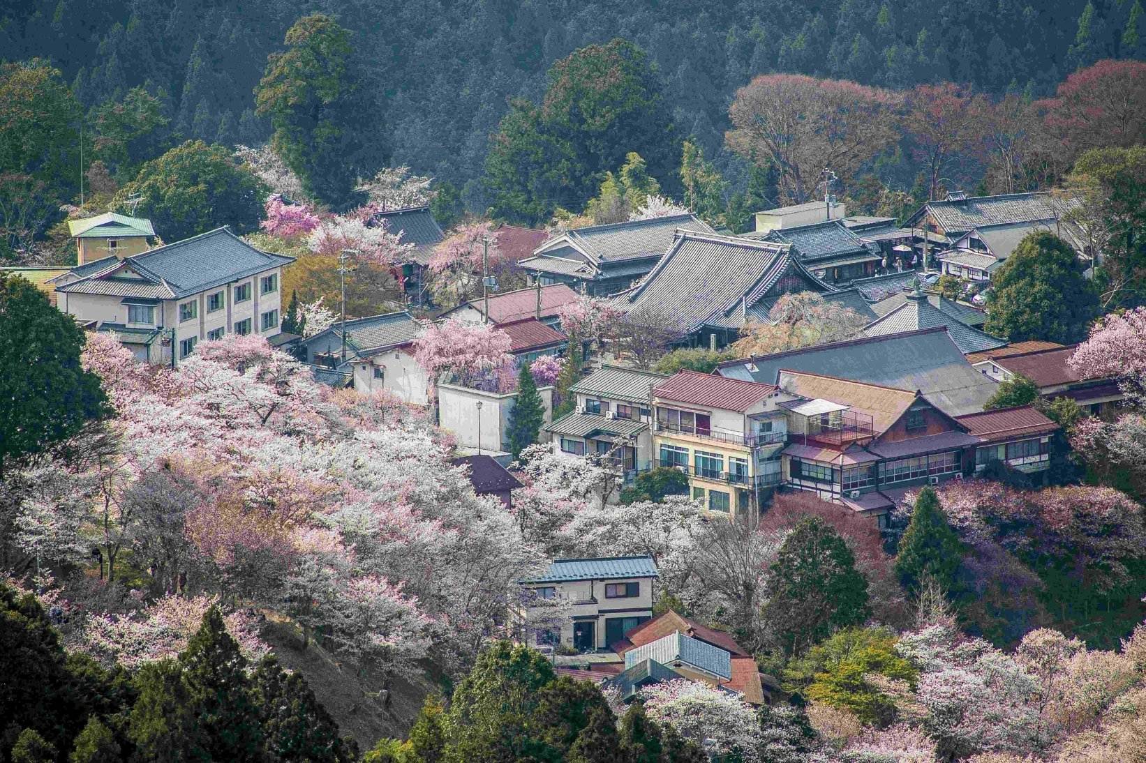 日本 奈良県吉野郡吉野町